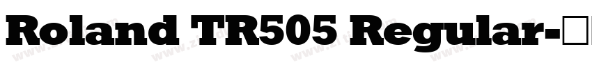 Roland TR505 Regular字体转换